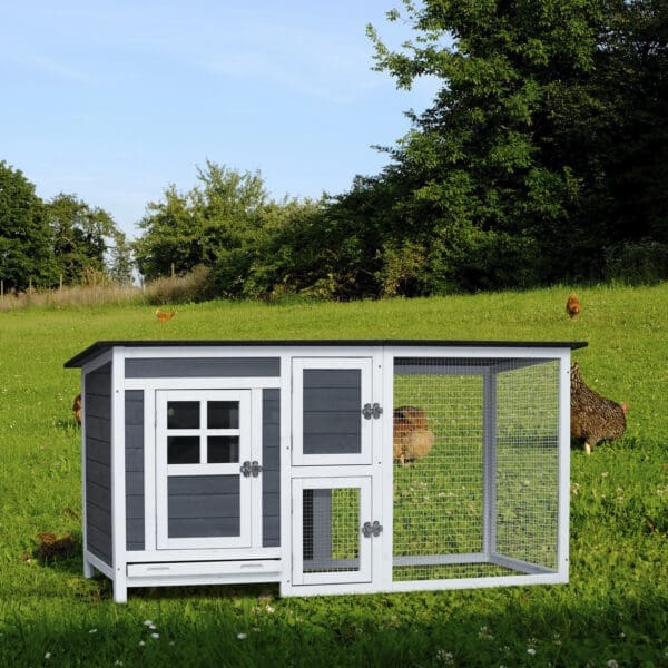 Outdoor Indoor Poultry Cage Teddy