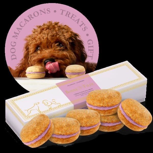 Raspberry Dog Macarons (Count of 6)