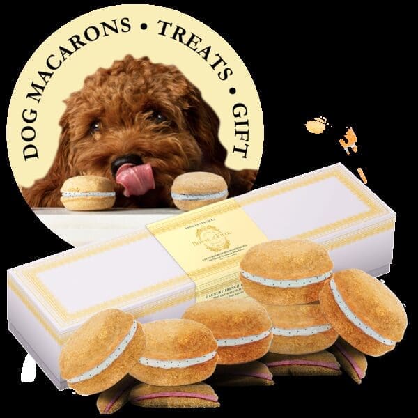 Vanilla Dog Macarons - Count of 6