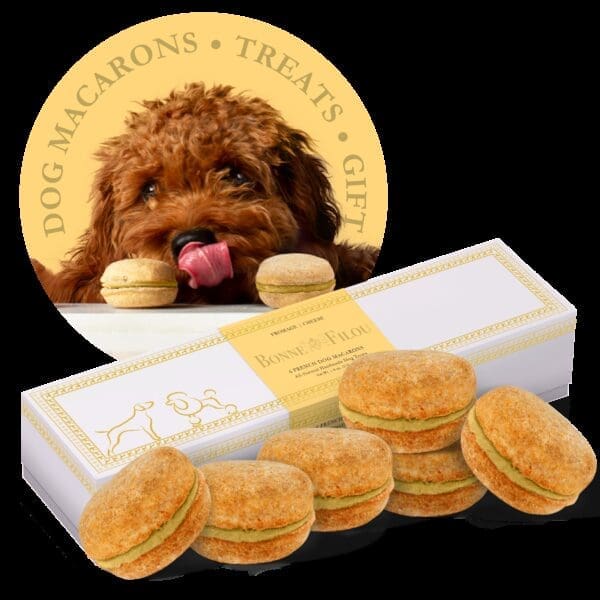 Dog Macarons Cheese