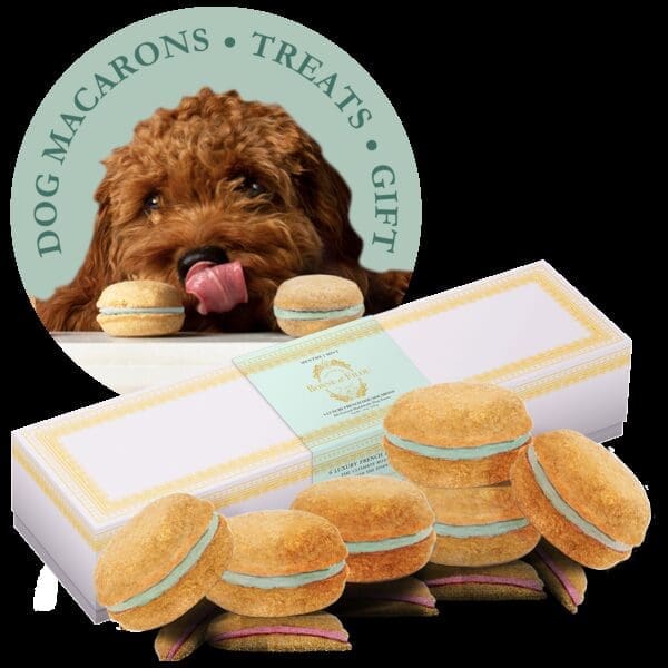 Dog Macarons - Count of 6 (Mint)