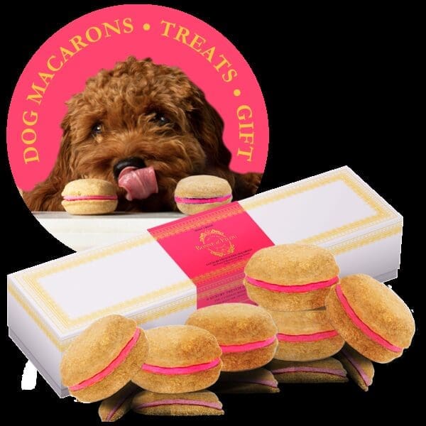 Dog Macarons (Count of 6) Rose