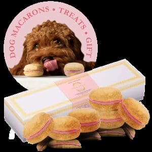 Strawberry Dog Macarons (Count of 6)