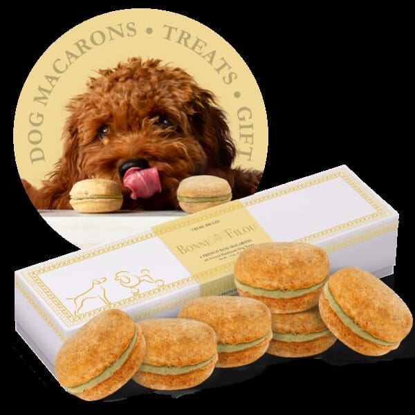 Dog Macarons - Count of 6 Creme Brulee