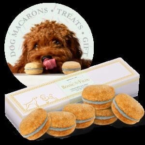 Birthday Cake Dog Macarons Treats Gifts Count of 6