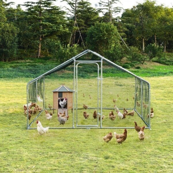 Large Walk-in Shade Cage 13ft