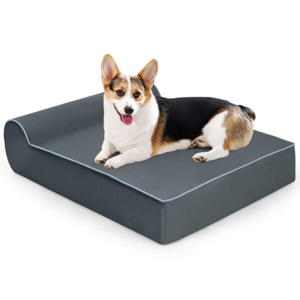 Orthopedic Dog Bed Gray