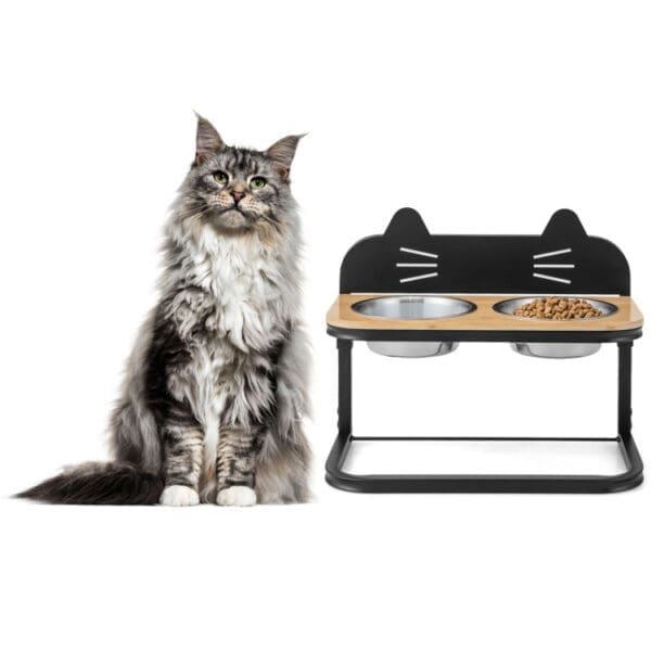 Elevated Pet Feeder Black