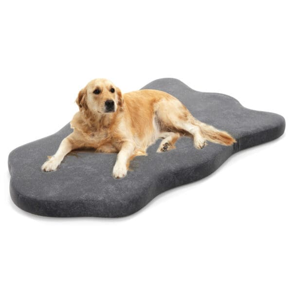 Orthopedic Dog Bed with Memory Foam Support Beige Gray - Gray