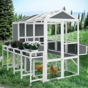 Chicken Coop Gray