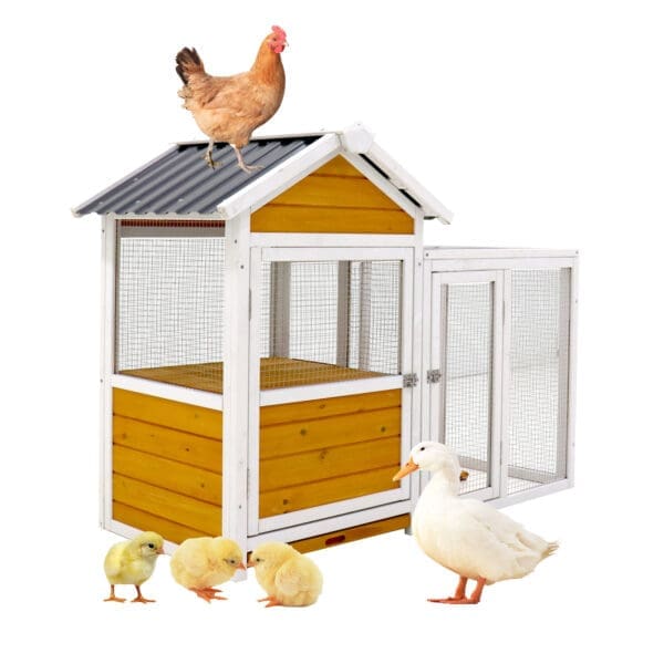 Large Outdoor Chicken Coop Waterproof Yellow Brown