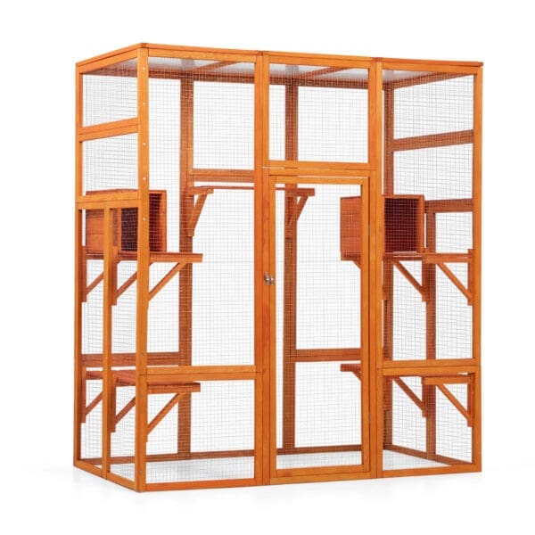 Large Cat Enclosure Orange