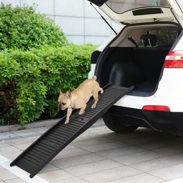 Folding Dog Ramp Black Plastic