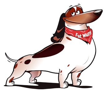 Piebald Dachshund Fat Willy standing proudly.